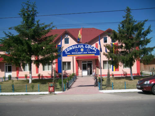 Consiliul local